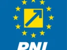 pnl