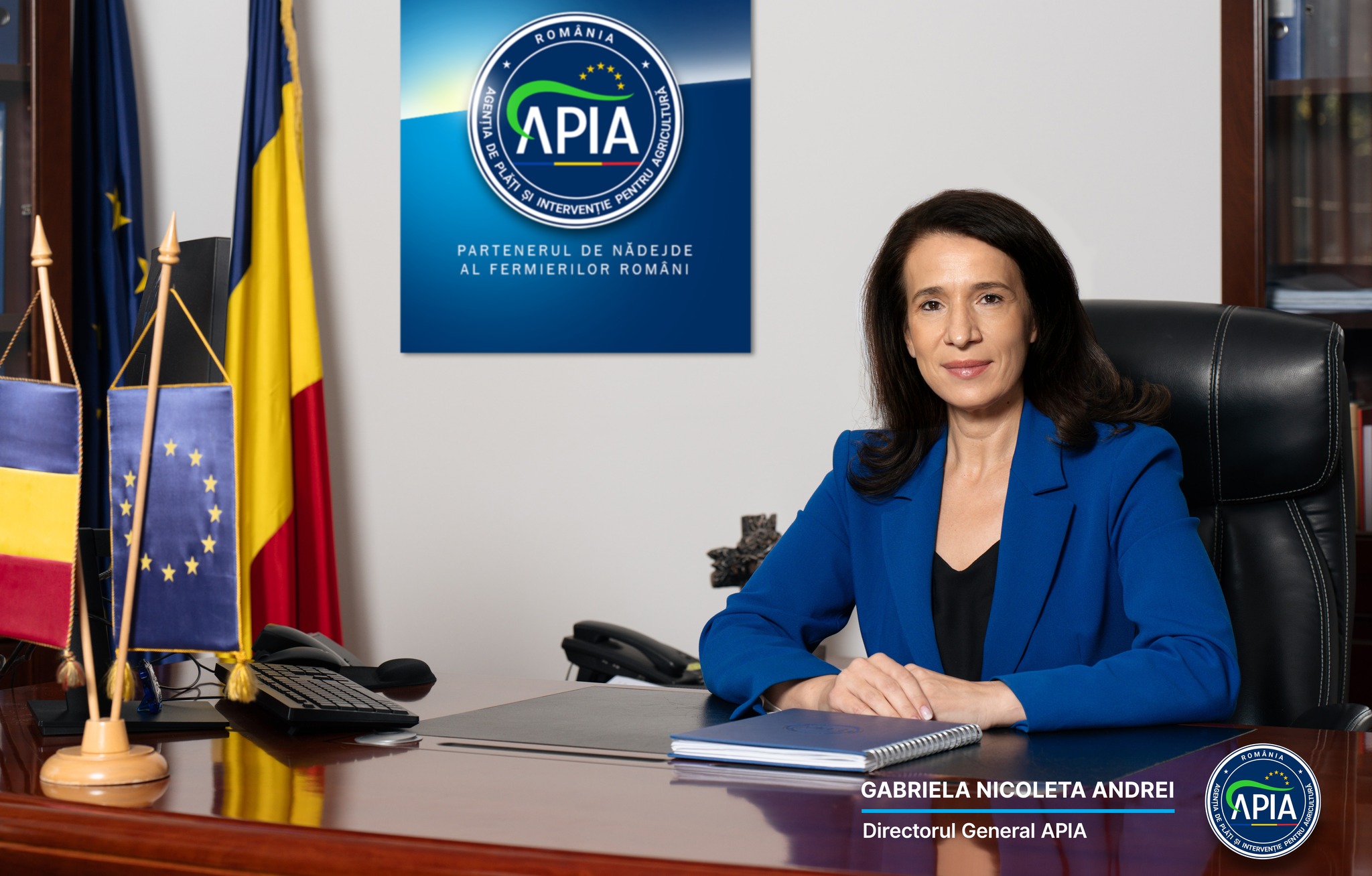 Gabriela Nicoleta Andrei