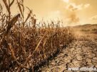 schimbarile climatice